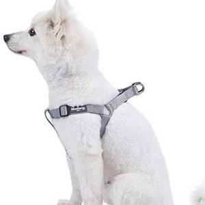 NWT Blueberry Pet Essentials  Step-in Classic Dog Harness
